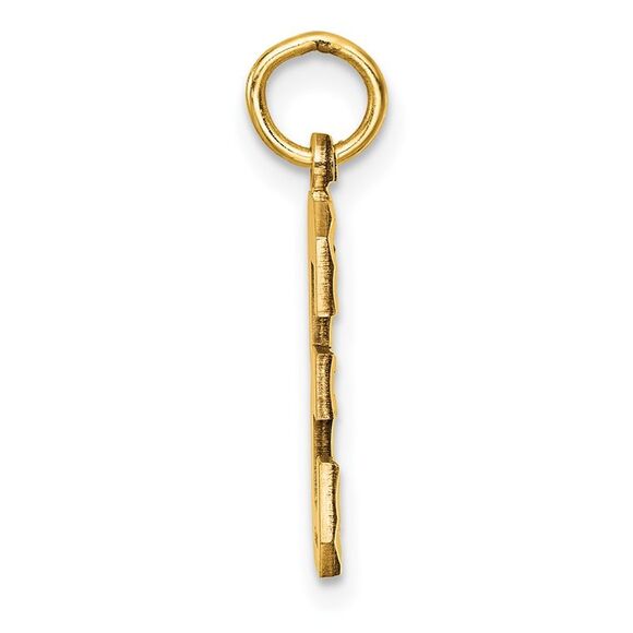 14K Yellow Gold, Varsity Collection, Medium D/C Pendant Number 3 - Picture 2 of 5